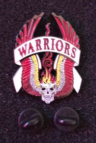 The warriors, pin back badge.