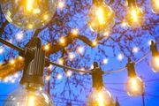 LED String Lights Mains Powered 7.6M/25 FT G40 Globe Garden Patio String Festoon Lights with 12+1 Shatterproof Waterproof LED Plastic Bulbs for Garden Patio Pergola Bar Yard Wedding Party
