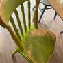 Set of 4 Dining chairs Image 5