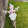 Girls Ignite Dancer Bike 14 Inch Image 4