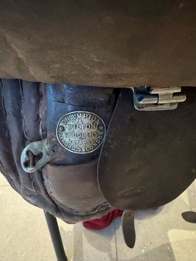 Side Saddle Champion Wilton