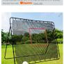 Rebounder, hurling, football, soccer Image 2