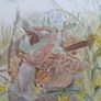 Watercolour. Image 10