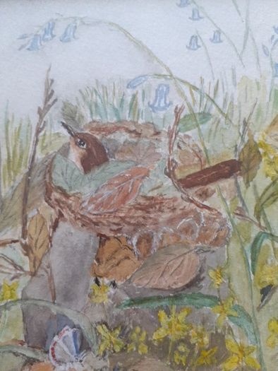 Watercolour.