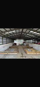 Wooden feed barriers for sheep