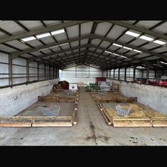 Wooden feed barriers for sheep
