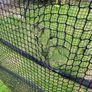 Golf net Image 4