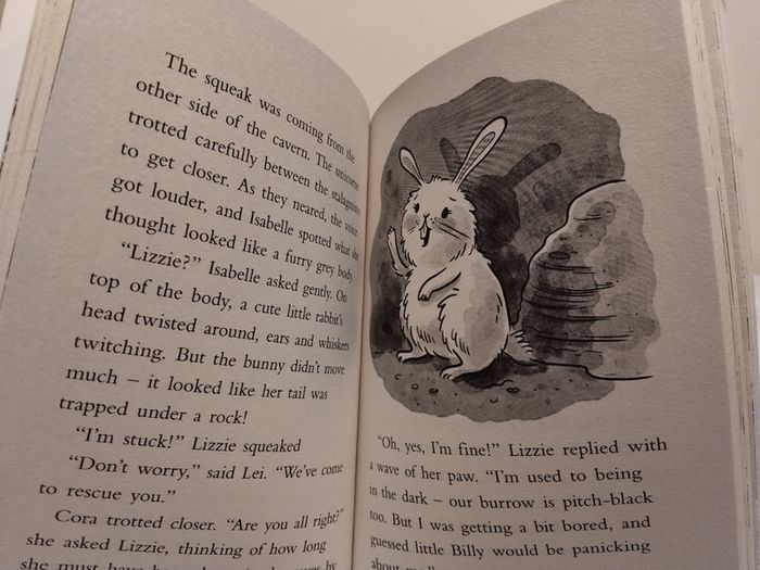 Blossom Woods Story Books By Catherine Coe