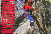 David Lee Roth "Skyscraper"vinyl
