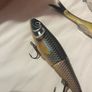 fishing lures Image 2
