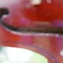 Antique Violin Antonius Stradivarius  Fraction Anno 17 Image 3