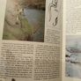 The Marshall Cavendish Fisherman's Handbook - price includes postage Image 10
