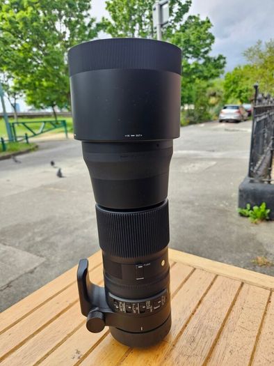 Sigma 150-600mm F5-6.3 DG OS HSM | Contemporary Lens (Nikon)