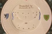 Donegal Parian china gaa plate free postage
