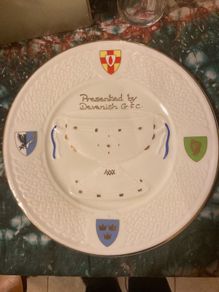 Donegal Parian china gaa plate free postage