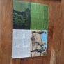 Ryan's Daughter Original promo book for the movie Image 3