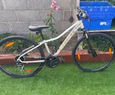trek bike