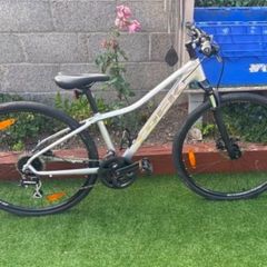 trek bike
