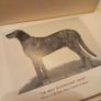 Dogs of Ireland hardback book, D18 freepost Image 7