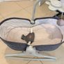 baby Image 2