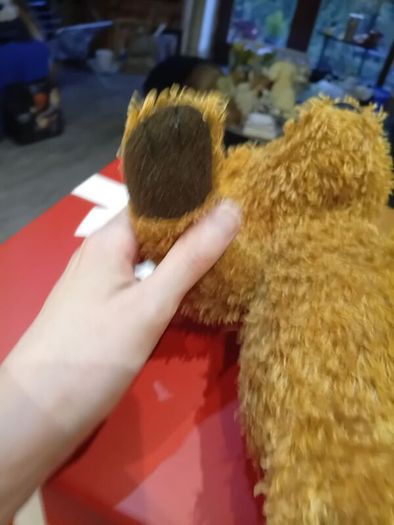 Brown Bear Jellycat
