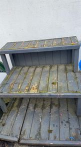 Free to take away shelves