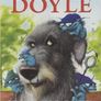 4x books - Roddy Doyle bundle Image 3