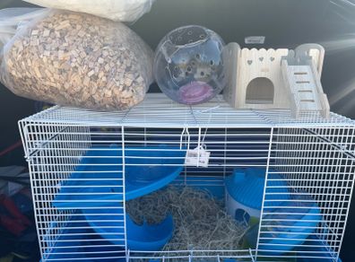 hamster cage
