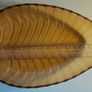Vintage Orange 70's Leaf Shaped Plastic Bowls x 4 Image 3