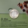 France 5 Euro Uncirculated Coin Set 2025 - Frances Favourite Animals (Cats, Dogs, Rabbits, Horses) Image 7