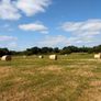 Hay Image 2