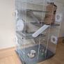 Rat cage and 2 cute rats Image 10