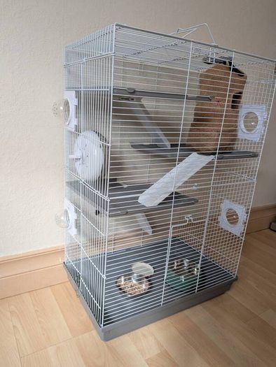 Rat cage and 2 cute rats