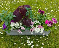 Window box