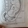 Medical. The Wonderful Story Of The Human Body With Special Draw Illustrations By W. Thornton Shells. First Edition Hardback In Good Condition. Image 10