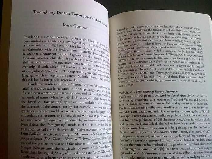 Essays on the poetry of Trevor Joyce Ireland Irish poet