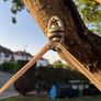 Hammock Chair. Beautifully made. Brand new Image 5
