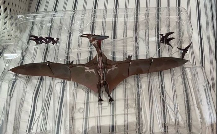 Rodan 2021 S.H Monsterarts