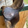 Saddle 14inch Image 5