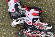 rollerbladers