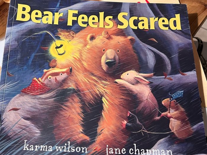 Book: Bear feels scared
