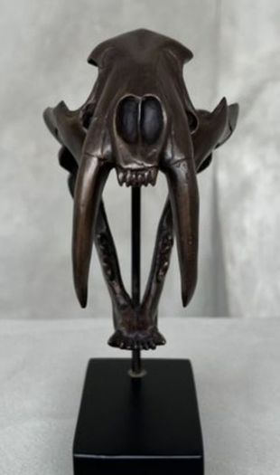 Sabre-Tooth Tiger Skull  - Bronze, Metal Stand, Signed