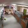 Schleich Horse Club Riding Centre Image 4
