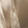 New Lace Sheer Vintage Style Blouse Image 5