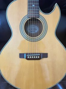 epiphone pr5e