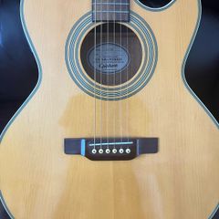 epiphone pr5e