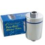 Silver Shower Filter Image 2