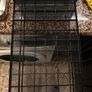 Coffee pod holder for Nespresso classic type capsules Image 3