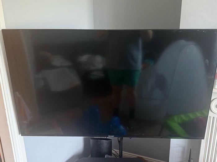 48" Smart TV. Less than 1 year old.