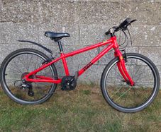Frog Bike - 62